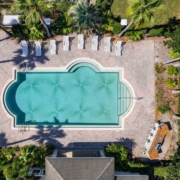 An aerial view of a swimming pool surrounded by palm trees and lounge chairs.