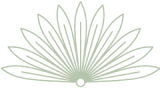 A graphic of a flower with a bird's face in the center.