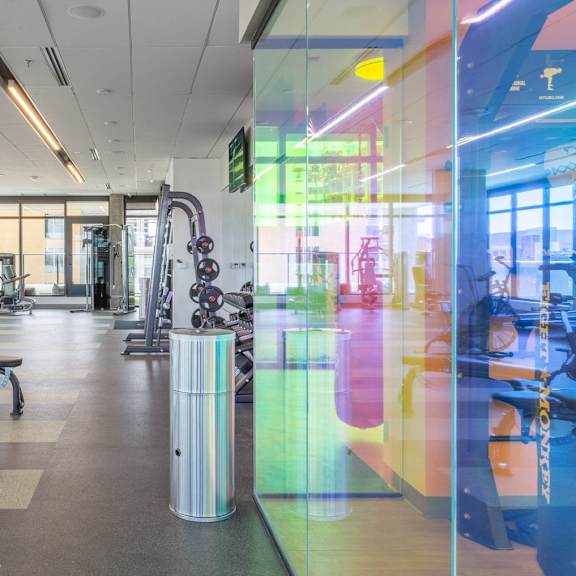 A gym with a variety of equipment including treadmills, stationary bikes, and weight machines.