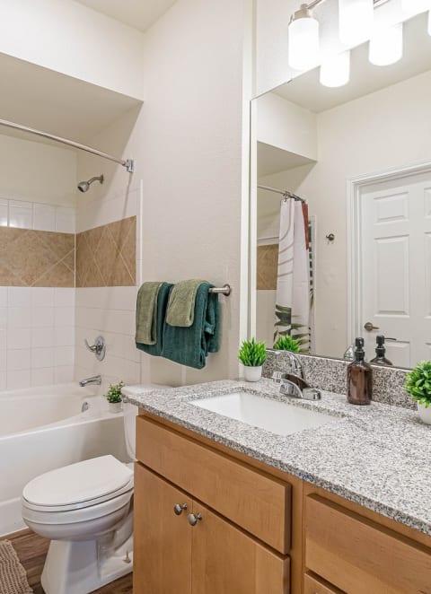 Luxurious Bathroom at Capitol Crossing, Austin, 78744