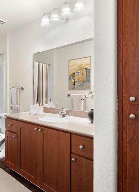 the enclave at homecoming terra vista bathroom