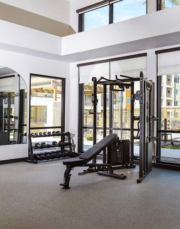 A gym with a row of mirrors and a row of dumbbells.