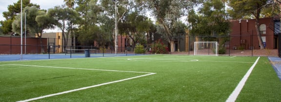 a soccer field with a fence and trees in the background