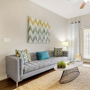 Living room with Grey Couch