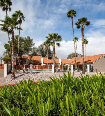 Exterior and landscaping at Orange Tree Village Apartments in Tucson AZ