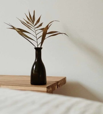 Plant on table