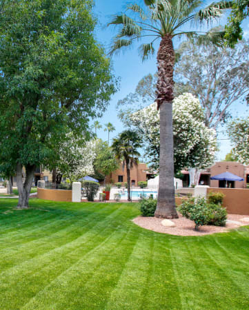 Large greenery filled courtyards at La Hacienda offers Studio, 1 & 2 Bedroom Apartments in Tucson, AZ!
