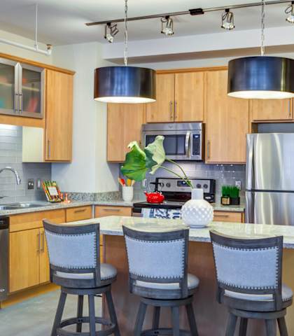 Kitchen View at Arcade Apartments, Missouri, 63101