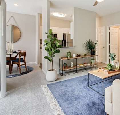 Graceful Living Area at The Enclave at Crossroads, Raleigh, NC