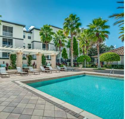 Pool area with lounge seating, palm trees and pergola.