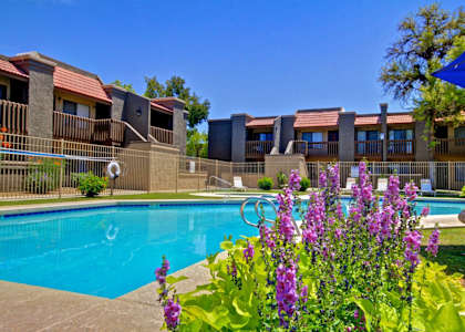 Pool at Acacia Pointe Apartments in Glendale, AZ