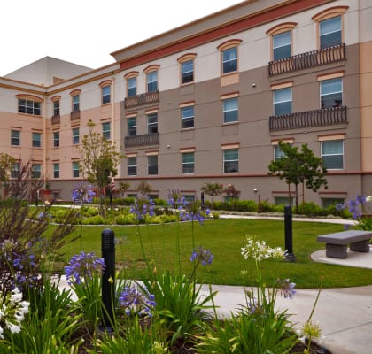 Courtyard at Sycamore Senior Affordable Apartments in Oxnard CA