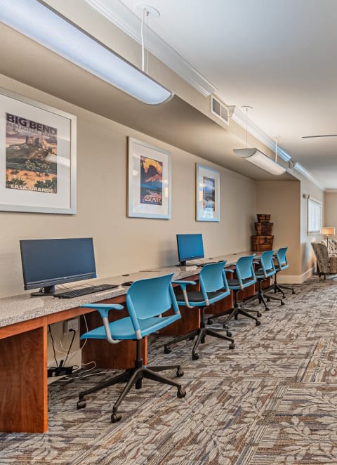 Business Center at Mariposa at Spring Hollow Saginaw 55+ Apartments, Saginaw