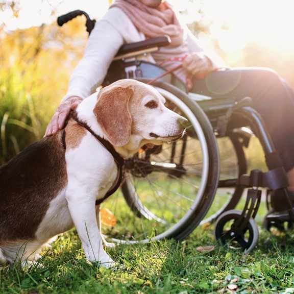 Senior Pet-Friendly Community