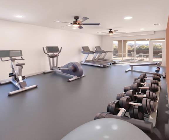 A spacious home gym with a variety of equipment including treadmills, stationary bikes, and dumbbells.