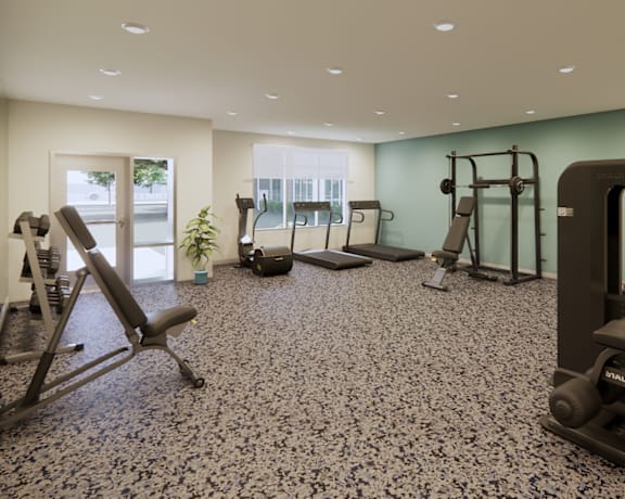 A gym with a variety of equipment including a treadmill, weights, and a bench press.