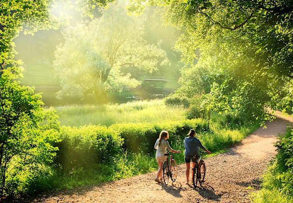 Spring Ridge Apartments Park Lifestyle
