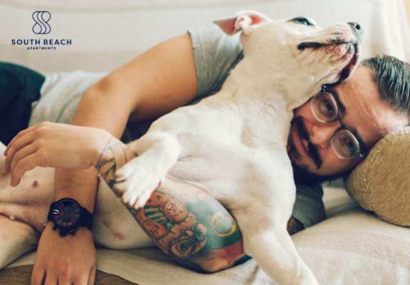South Beach - Pet Friendly