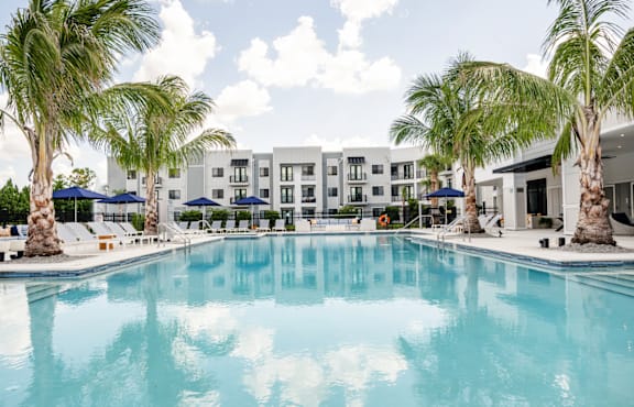 A large swimming pool surrounded by palm trees and lounge chairs.