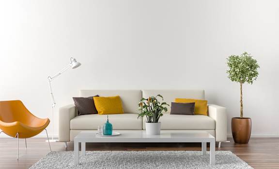 Living room with white couch, plant, and orange chair