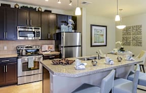 Modern Kitchens at The Sedona Luxury Apartments in Westchase Tampa FL