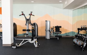 A gym with a stationary bike, a leg press machine, and a rowing machine.