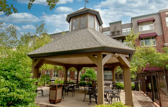 Picnic and Grilling Area at 808 Berry Place, Minnesota, 55114