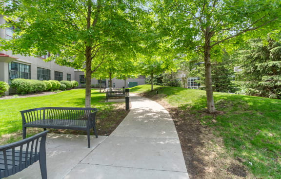 a sidewalk with benches and trees in front of a buildingat Buzza Lofts of Uptown, Minnesota, 55408
