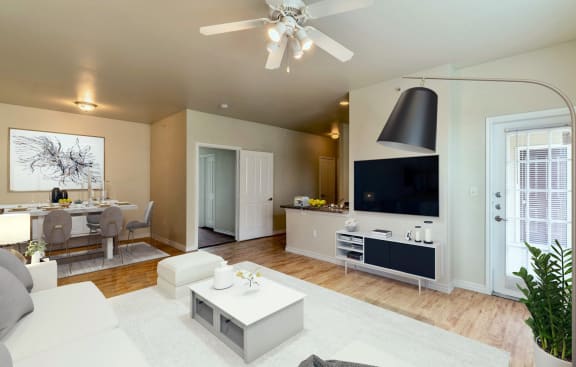 a living room with a couch and a tv at Five Mile Creek, Texas, 75224