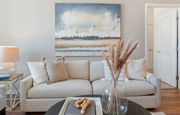 Dominium_HarborAtTwinLakes_ModelAptHomeLiivingRoom