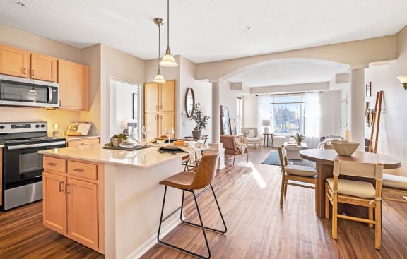 Large Living Room at The Landings at Silver Lake Village, St. Anthony, MN 55421
