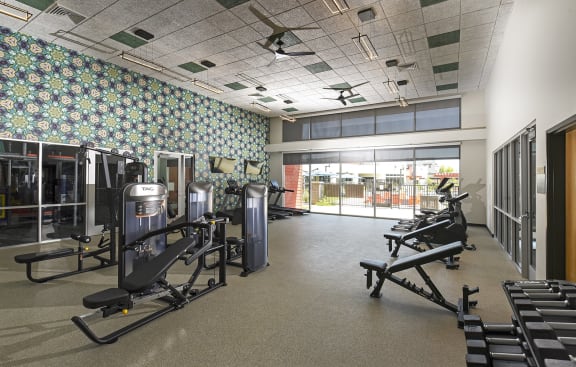 a fitness room with weights and cardio machines and a large window