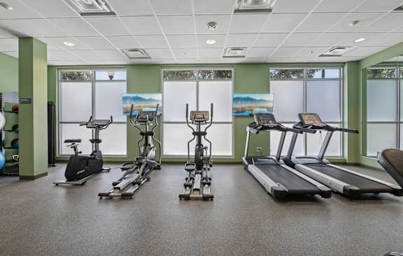 A gym with treadmills, exercise bikes and elliptical machines.