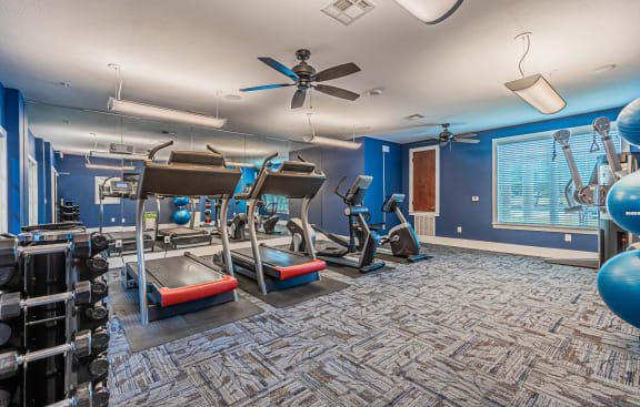Fitness Center at Mariposa at Spring Hollow Saginaw 55+ Apartments, Texas