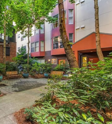 Ellis Court Apartments in Seattle WA 2 Blocks to Waterfront
