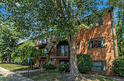 A tree in front of a brown building with green shutters.