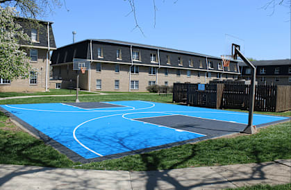 A basketball court with a blue surface and white lines.