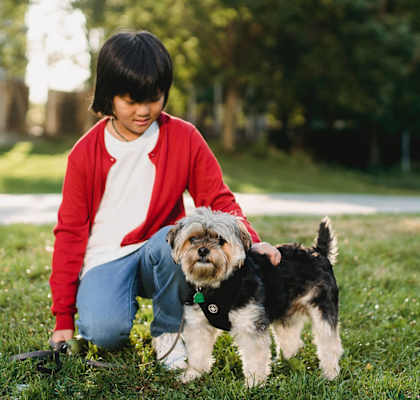 pet friendly apartments