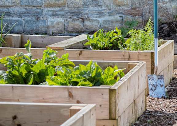 TerraceMountScott_Flash_GardenBeds