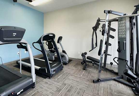 A gym with treadmills, elliptical machines, and weight machines.
