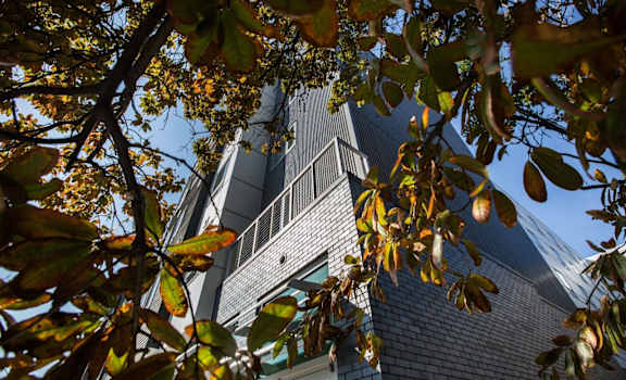view of building from sidewalks looking up between the trees