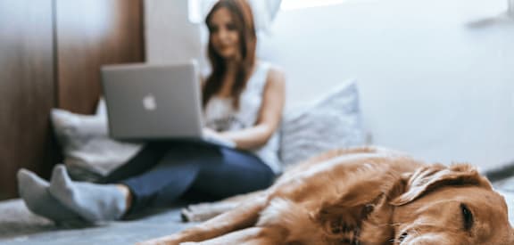 A woman is sitting on a bed with a laptop, and a dog is lying next to her.