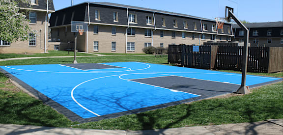 A basketball court with a blue surface and white lines.