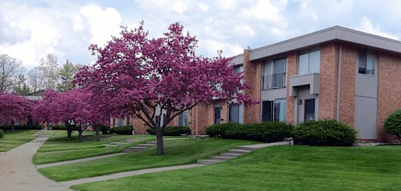A tree with pink flowers is in front of a brick apartment building.