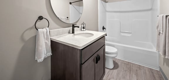 a bathroom with a sink and a toilet and a mirror