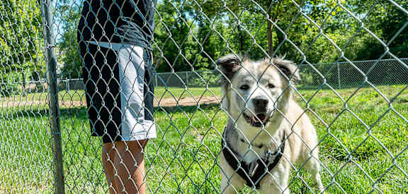 Dog Park at Shoreline Landing in Norton Shores MI