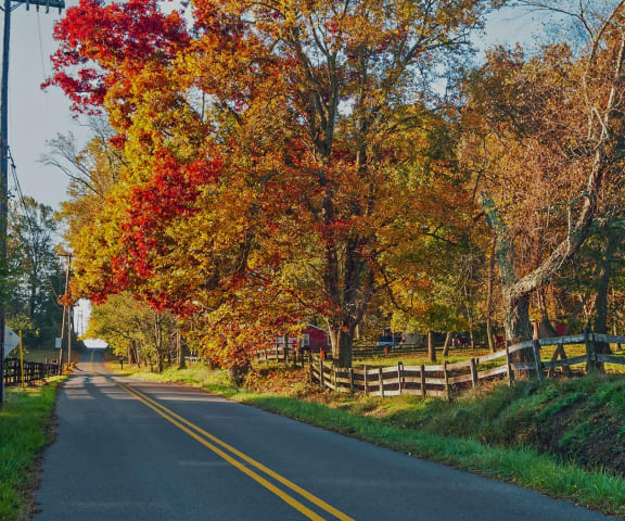 Apartments for Rent in Houston TX