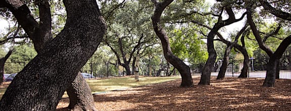 Forest Trails at Walnut Hill, San Antonio, TX, 78229