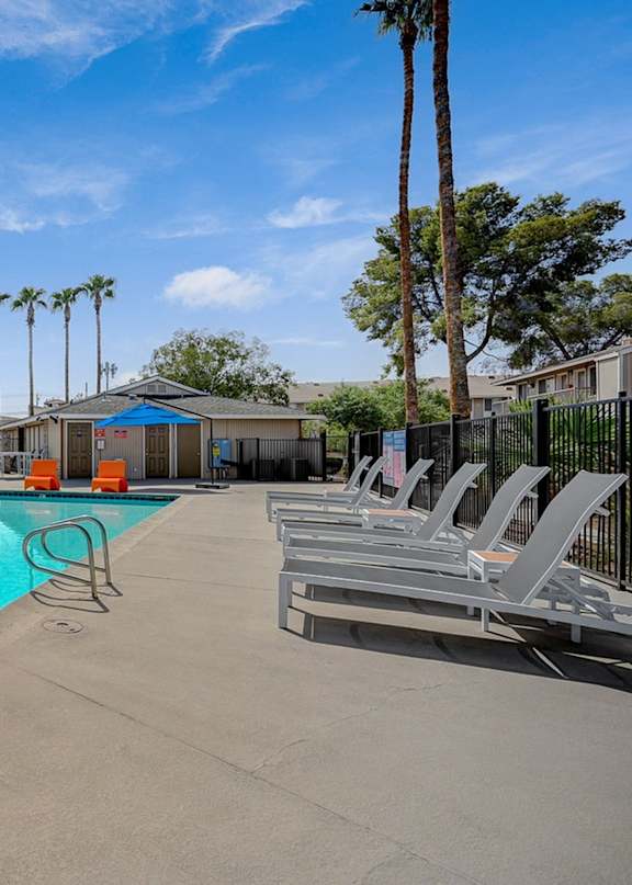 A pool surrounded by palm trees and lounge chairs.