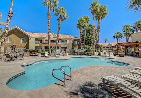 A swimming pool surrounded by palm trees and lounge chairs.